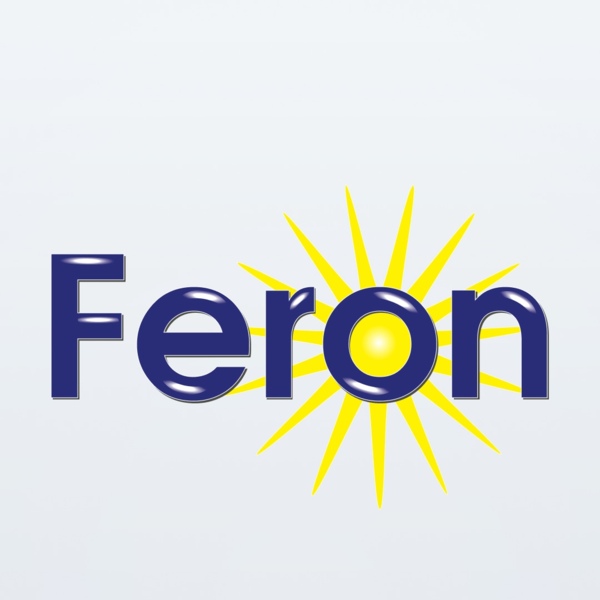 Вывод технических характеристик товаров на сайте Feron