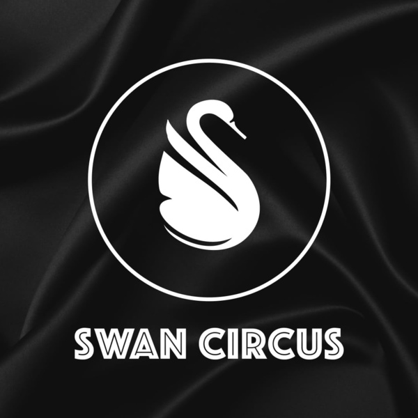 Презентация для Swan Circus